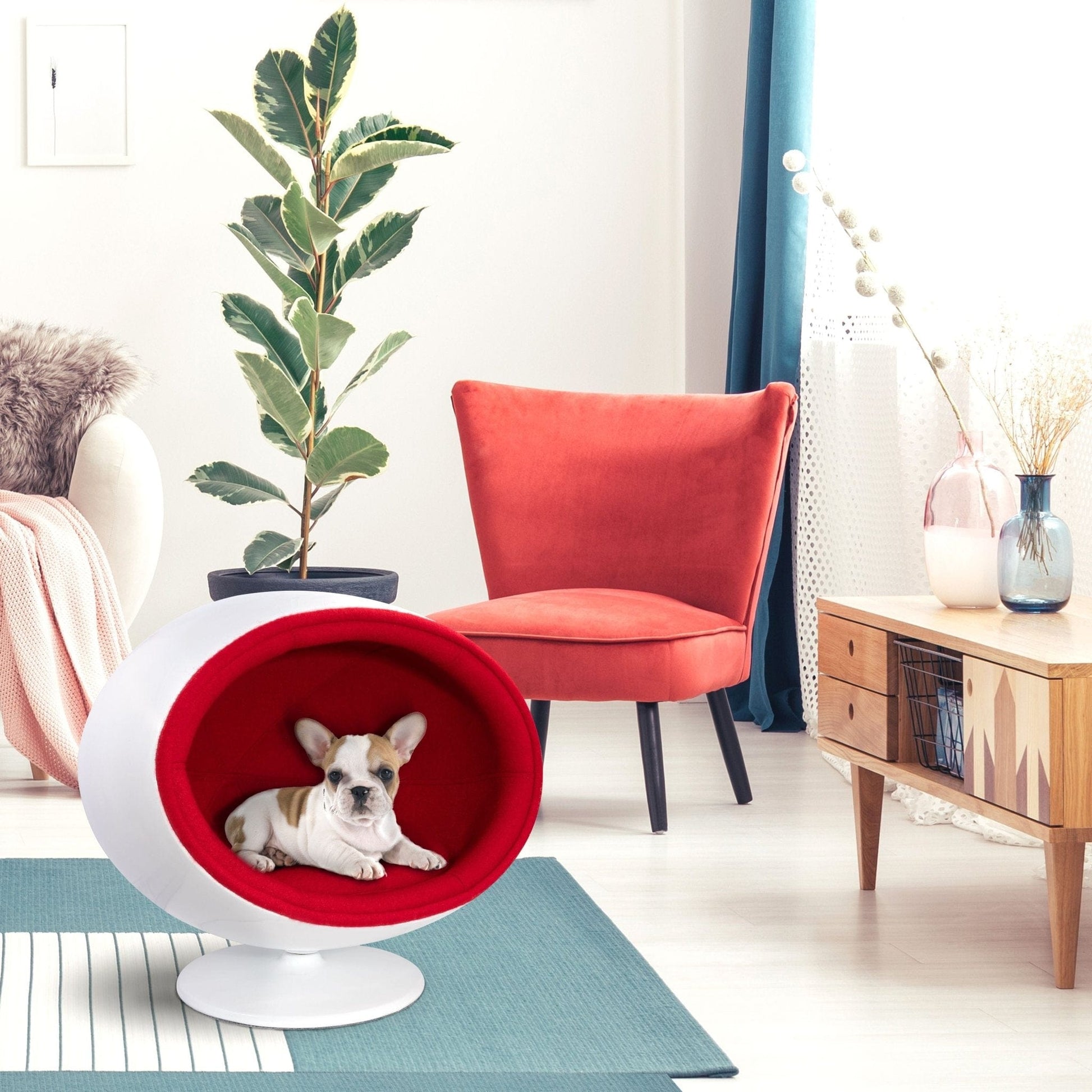 Modern Fiberglass Ball Pet Chair/Bed - CLASSY CLOSET BOUTIQUEModern Fiberglass Ball Pet Chair/BedPET BEDDC-466855Blue